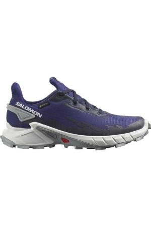 Alphacross 4 Gtx Kadın Ayakkabı - L41723300 Gri - Salomon