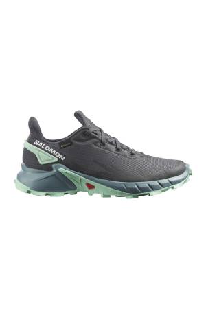 Alphacross 4 Gtx W Kadın Ayakkabı - L47066800 Gri/Mint Yeşili - Salomon