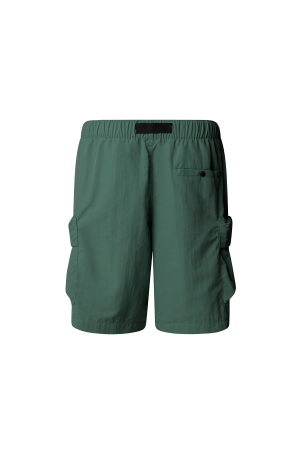 Cargo Pocket Erkek Short - NF0A8BJG Koyu Yeşil - 2