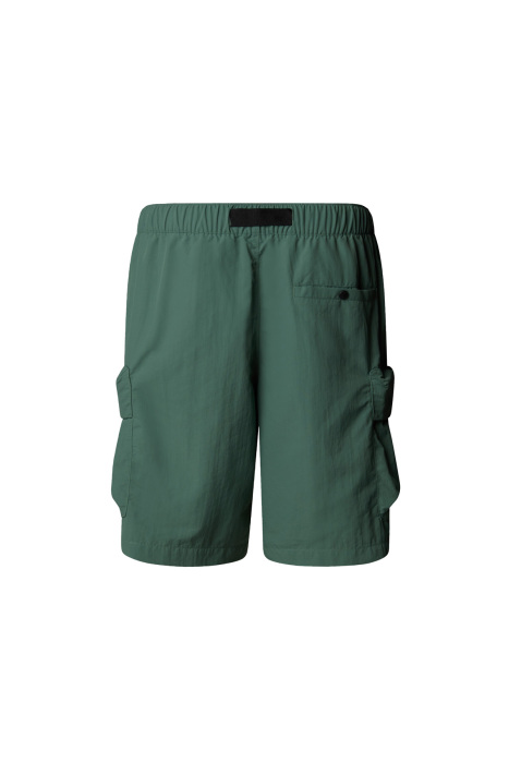 Cargo Pocket Erkek Short - NF0A8BJG Koyu Yeşil - 2
