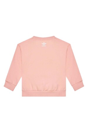 Crew Kız Çocuk SweatShirt - HC4559 Pudra - 2
