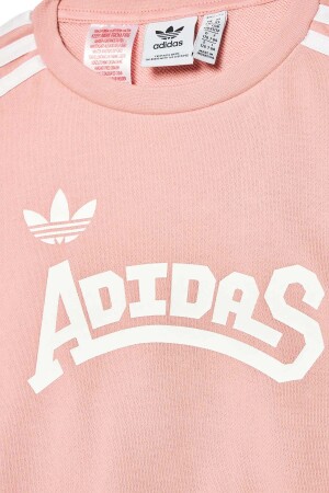 Crew Kız Çocuk SweatShirt - HC4559 Pudra - 3