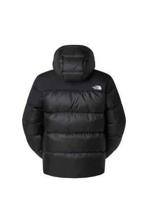 Dıablo Down 2.0 Hoodıe Erkek Mont - NF0A8992 Siyah - 2