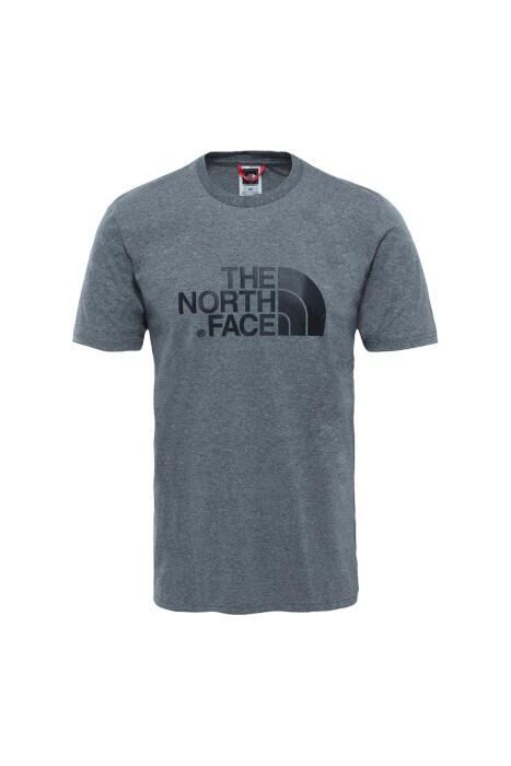 Easy Tee - Eu Erkek T-Shirt - NF0A2TX3 Gri - 1