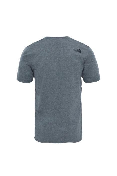 Easy Tee - Eu Erkek T-Shirt - NF0A2TX3 Gri - 2