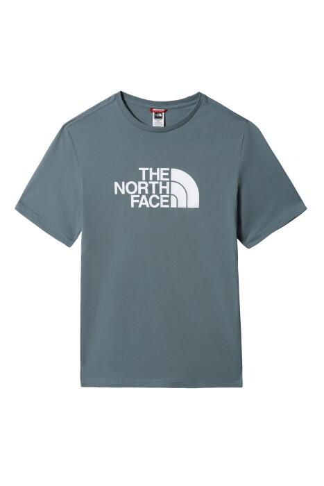 Easy Tee - Eu Erkek T-Shirt - NF0A2TX3 Mavi - 1