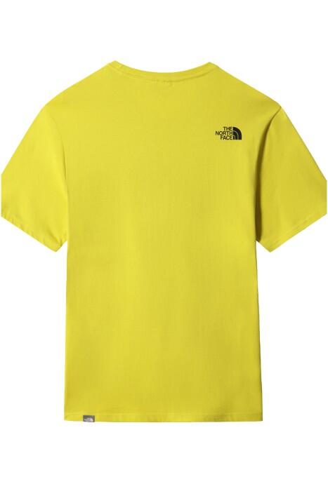 Easy Tee - Eu Erkek T-Shirt - NF0A2TX3 Sarı - 2