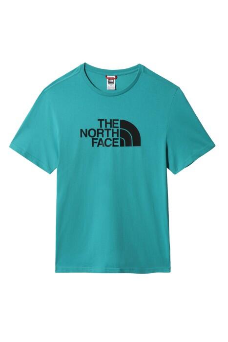 Easy Tee - Eu Erkek T-Shirt - NF0A2TX3 Yeşil/Siyah - 1