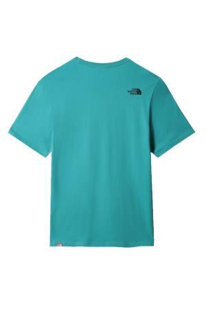 Easy Tee - Eu Erkek T-Shirt - NF0A2TX3 Yeşil/Siyah - 2