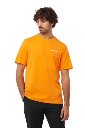 Graphic Perf Ss Erkek T-Shirt - LC2219700 Turuncu - Salomon