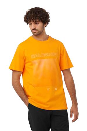 Graphic Ss Erkek T-Shirt - LC2247000 Turuncu - Salomon