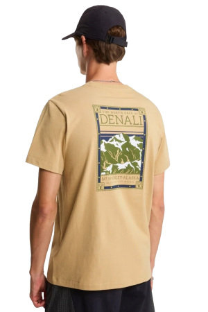 North Faces Reg Ss Tee-Graphic Erkek T-Shirt - NF0A8GUW Kahverengi - 2