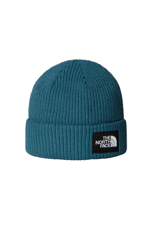 Salty Rain Erkek Bere - NF0A8CGZ Lacivert - The North Face