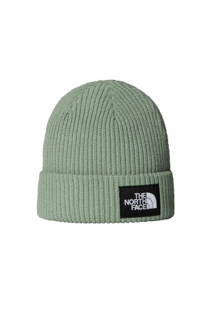 Salty Rain Erkek Bere - NF0A8CGZ Yeşil - The North Face