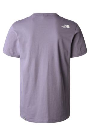 Simple Dome Tee - Eu Erkek T-Shirt - NF0A2TX5 Koyu Gri - 2