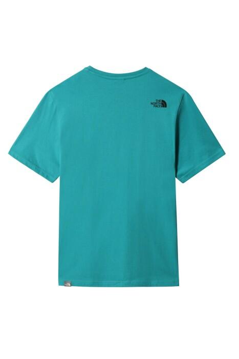 Simple Dome Tee - Eu Erkek T-Shirt - NF0A2TX5 Yeşil/Siyah - 2