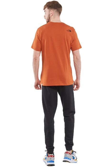 S/S Mountain Line Tee Erkek T-Shirt - NF0A7X1N Bronz/Neon Sarı - 2
