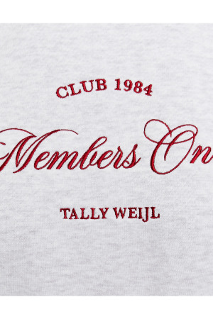 Tally Weijl Kadın Crop SweatShirt - SSWCOACRO Gri - 3